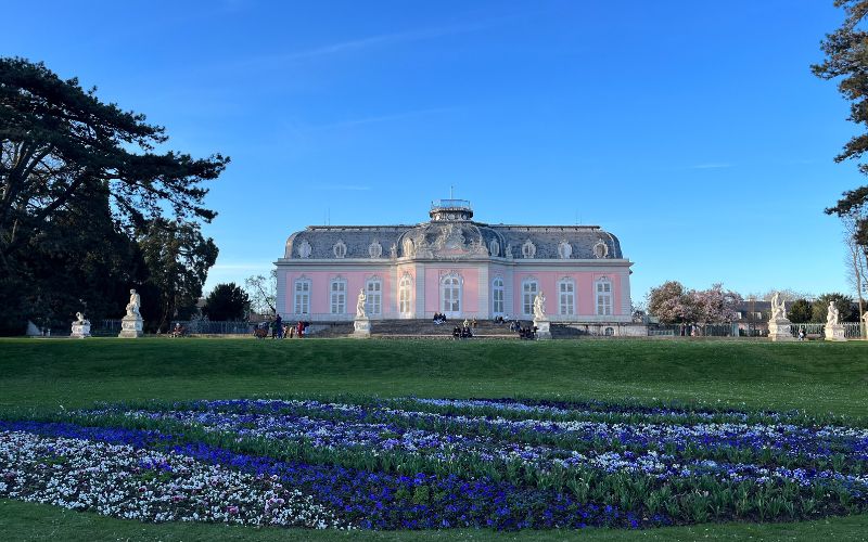 Das Rosanne Schloss Benrath und eine Blau-Weiße Blumenwiese davor