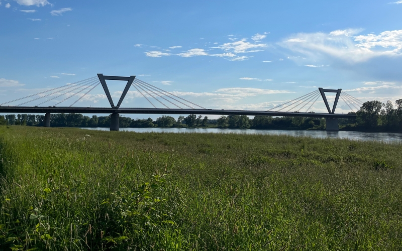 Die Flughafenbrücke mit dem Rhein und einer Wiese