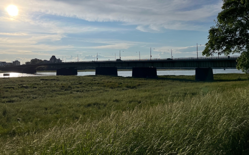 Blick auf die Josepf-Kardinal_Frings Brücke