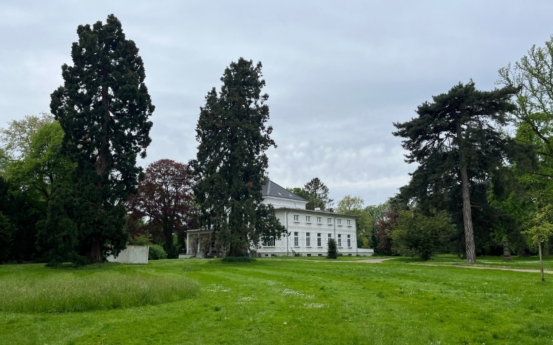 Die Villa Lantz im Lantz' schen Park in Düsseldorf-Lohausen