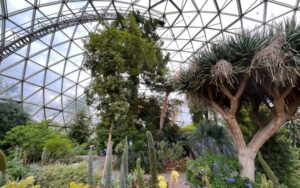 6 faszinierende Fakten über den Botanischen Garten in Düsseldorf