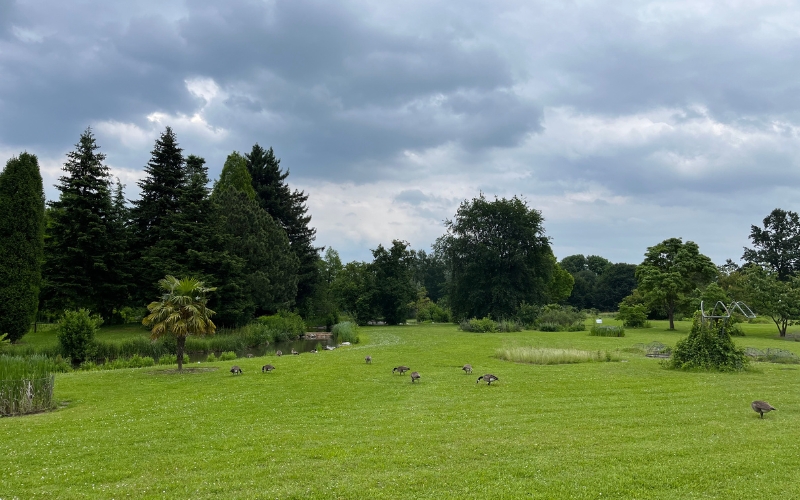 Die große Grünwiese im Botanischen Garten