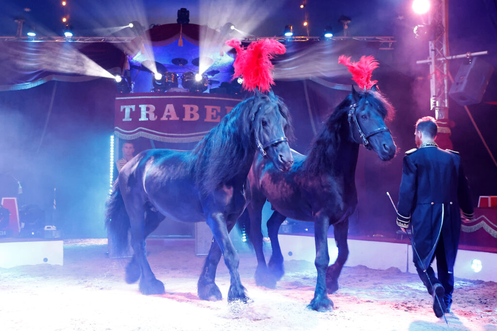 Die Tierdarbietungen gehören stets zu den Highlights des Circus Trabers