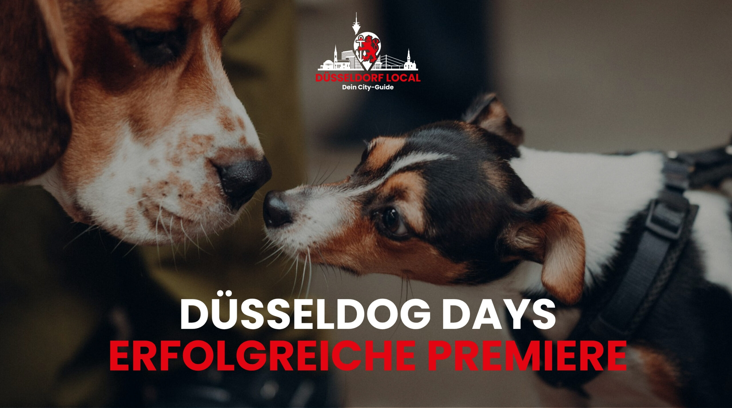 Titelbild der DüsselDog Days 2026 in Düsseldorf mit Hunden und dem Schriftzug zur erfolgreichen Premiere